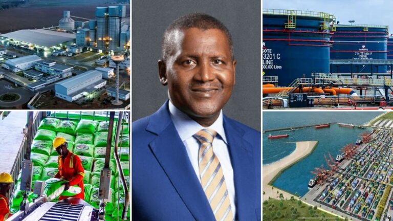 A Billionaire Built on Indigenous Manufacturing